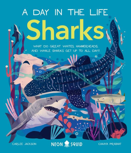 Sharks (A Day in the Life): What Do Great Whites, Hammerheads, and Whale Sharks Get Up To All Day?