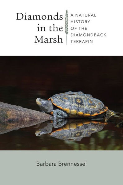 Diamonds the Marsh: A Natural History of Diamondback Terrapin