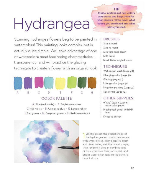 Hello, Watercolor!: - Easy How to Paint Watercolor Flowers, Botanicals, and Animals Step by Step