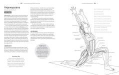 Alternative view 3 of Pose by Pose: Learn the Anatomy and Enhance Your Practice