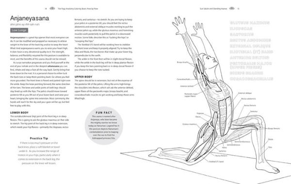 Pose by Pose: Learn the Anatomy and Enhance Your Practice