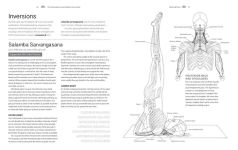 Alternative view 4 of Pose by Pose: Learn the Anatomy and Enhance Your Practice