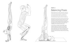 Alternative view 5 of Pose by Pose: Learn the Anatomy and Enhance Your Practice