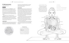 Alternative view 6 of Pose by Pose: Learn the Anatomy and Enhance Your Practice