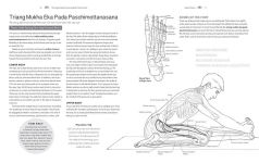 Alternative view 7 of Pose by Pose: Learn the Anatomy and Enhance Your Practice