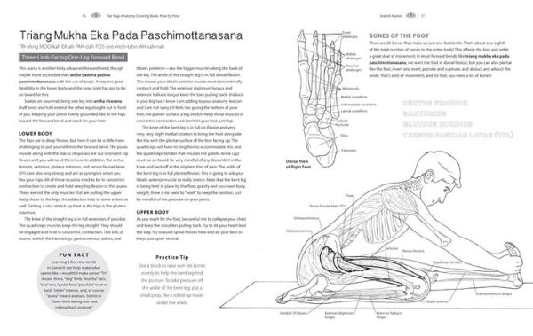 Pose by Pose: Learn the Anatomy and Enhance Your Practice