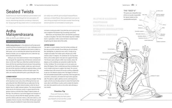 Pose by Pose: Learn the Anatomy and Enhance Your Practice