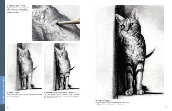 See, Think, Draw: An Easy Guide to Realistic Drawing and Beyond