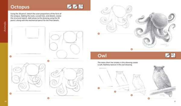 How to Draw Step by Step: A Visual Guide to Realistic Drawing