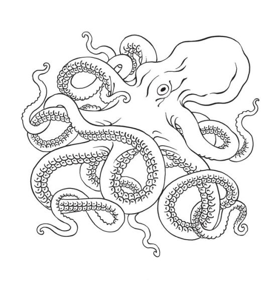 Flash Book: Hand-Drawn Tattoos to Color