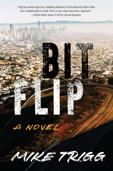 Bit Flip: A Novel