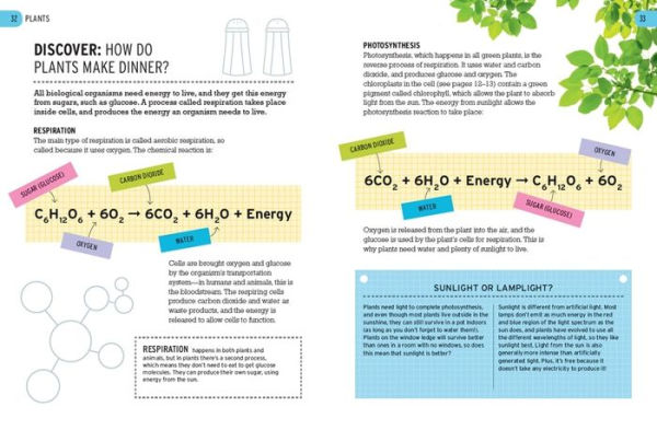 The Biology of Bananas