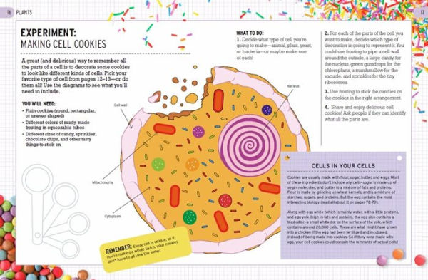 The Biology of Bananas