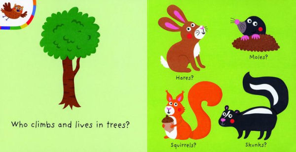 Forest, My Colorful Quiz