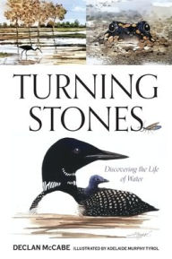 Title: Turning Stones: Discovering the Life of Water, Author: Declan McCabe