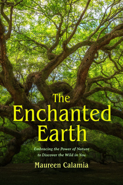 The Enchanted Earth: Embracing the Power of Nature to Discover the Wild in You (Connecting with Mother Nature, Outdoor Energy Healing)