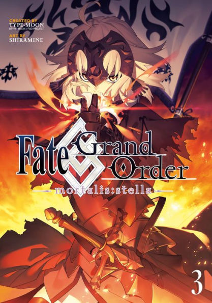 Fate/Grand Order -mortalis:stella- 3