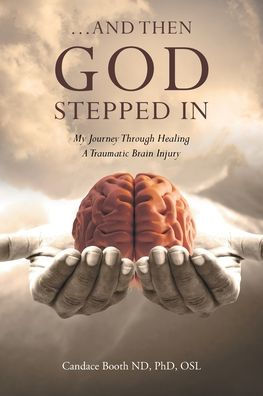...And Then God Stepped In: My Journey Through Healing A Traumatic Brain Injury
