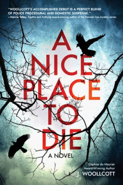 A Nice Place to Die: DS Ryan McBride Novel
