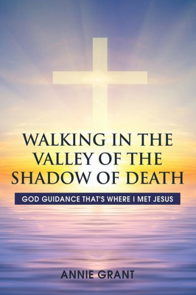 Walking the Valley of Shadow Death: God guidance that's where I met Jesus