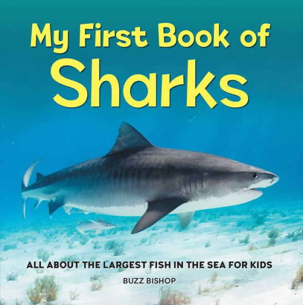 My First Book of Sharks: All About the Largest Fish Sea for Kids