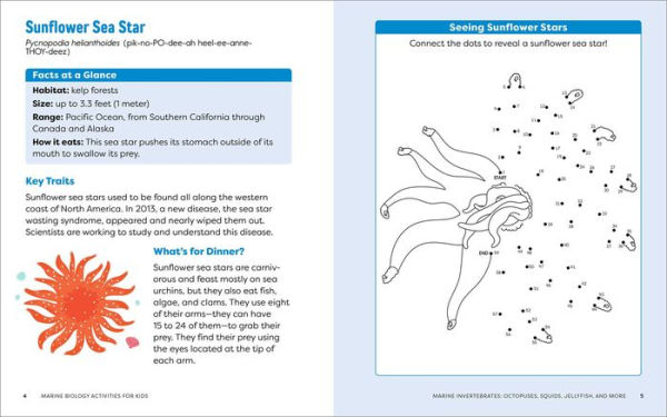 Marine Biology Activities for Kids: Mazes, Word Searches, Crossword Puzzles, and More!