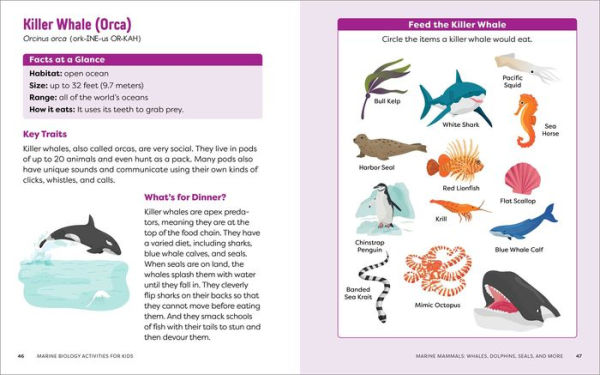 Marine Biology Activities for Kids: Mazes, Word Searches, Crossword Puzzles, and More!