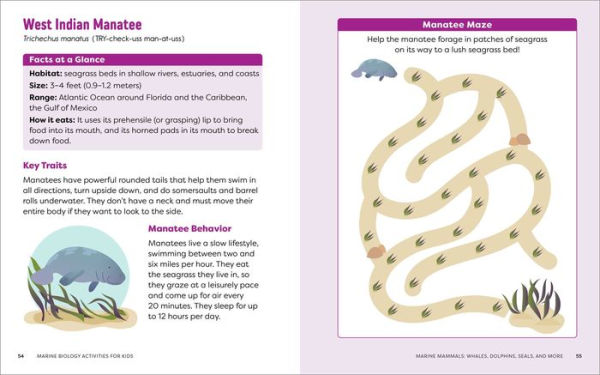 Marine Biology Activities for Kids: Mazes, Word Searches, Crossword Puzzles, and More!