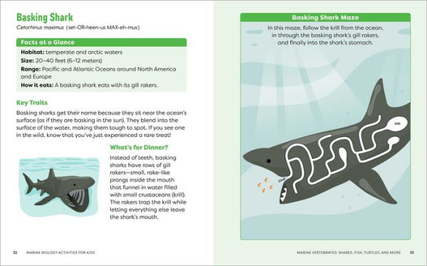 Marine Biology Activities for Kids: Mazes, Word Searches, Crossword Puzzles, and More!