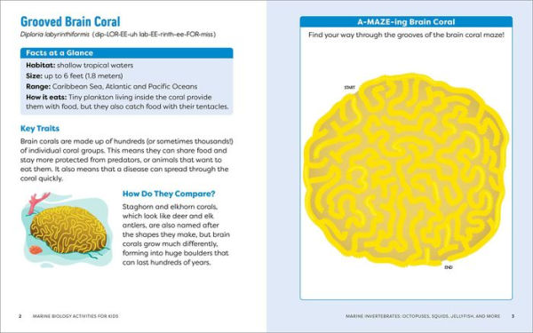 Marine Biology Activities for Kids: Mazes, Word Searches, Crossword Puzzles, and More!