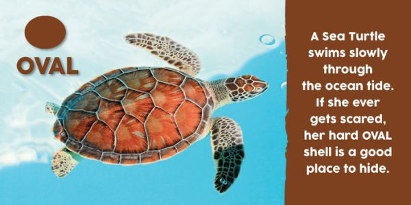 Baby Animals First Shapes Book