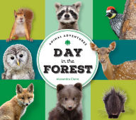 Title: Animal Adventures: Day in the Forest, Author: Alexandra Claire