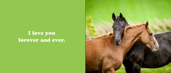 The Secret Thoughts of Horses