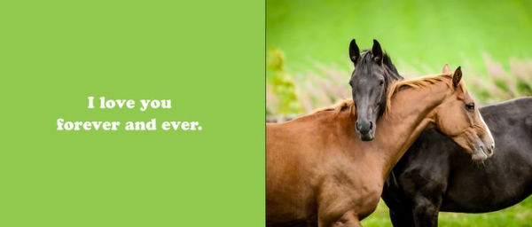 The Secret Thoughts of Horses