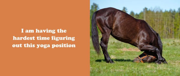 The Secret Thoughts of Horses