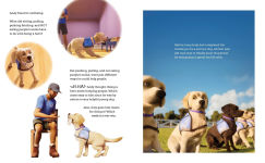 Alternative view 2 of Andy: A Dog's Tale (Canine Companions)