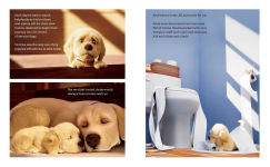 Alternative view 3 of Andy: A Dog's Tale (Canine Companions)