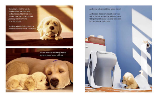 Andy: A Dog's Tale (Canine Companions)