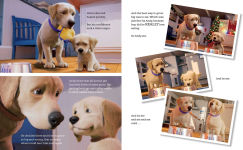 Alternative view 4 of Andy: A Dog's Tale (Canine Companions)