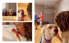 Alternative view 5 of Andy: A Dog's Tale (Canine Companions)