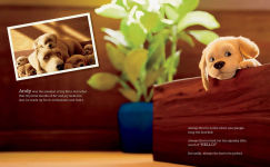 Alternative view 7 of Andy: A Dog's Tale (Canine Companions)