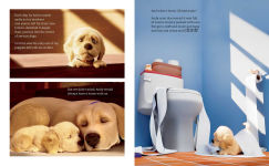 Alternative view 8 of Andy: A Dog's Tale (Canine Companions)