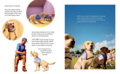 Alternative view 9 of Andy: A Dog's Tale (Canine Companions)