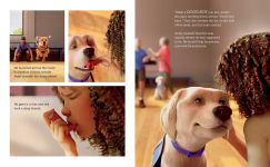 Alternative view 10 of Andy: A Dog's Tale (Canine Companions)