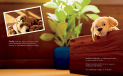 Alternative view 6 of Andy (Spanish Edition): La historia de un perro