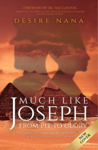 Title: Much Like Joseph: From Pit to Glory, Author: Desire Nana