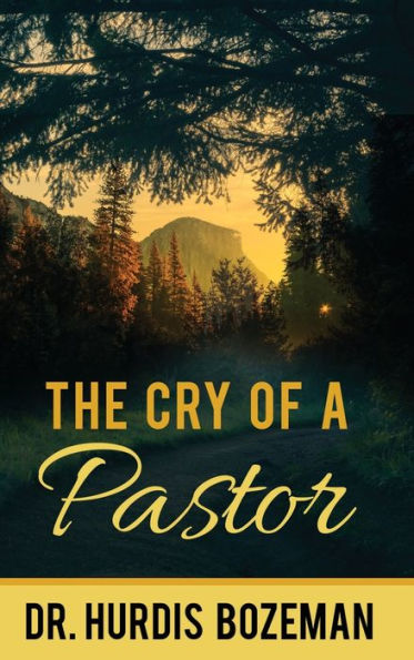 The Cry of A Pastor
