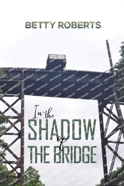 the Shadow of Bridge