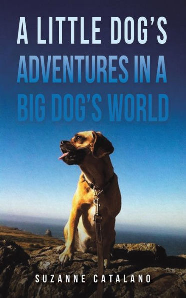 a Little Dog's Adventures Big World