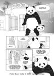 Alternative view 4 of Polar Bear Café: Collector's Edition Vol. 1